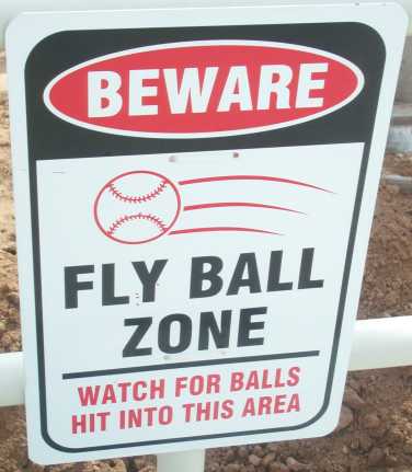 Fly Ball Zone