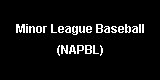 Minor League Baseball Site