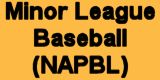 Minor League Baseball (NAPBL) Web Page